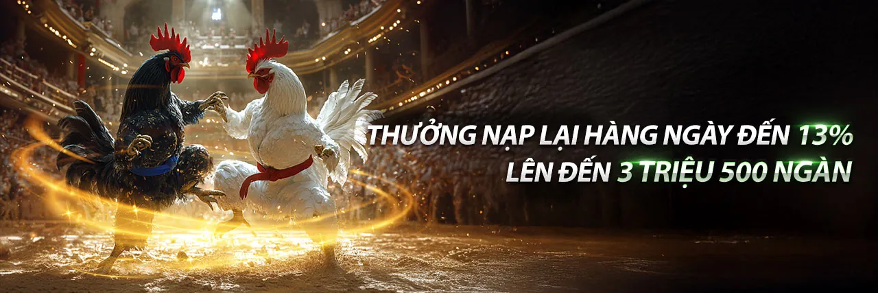 Đấu trường đá gà kịch tính